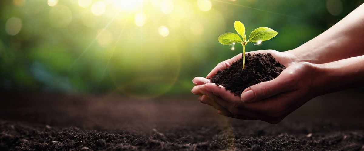 Colchester sustainability