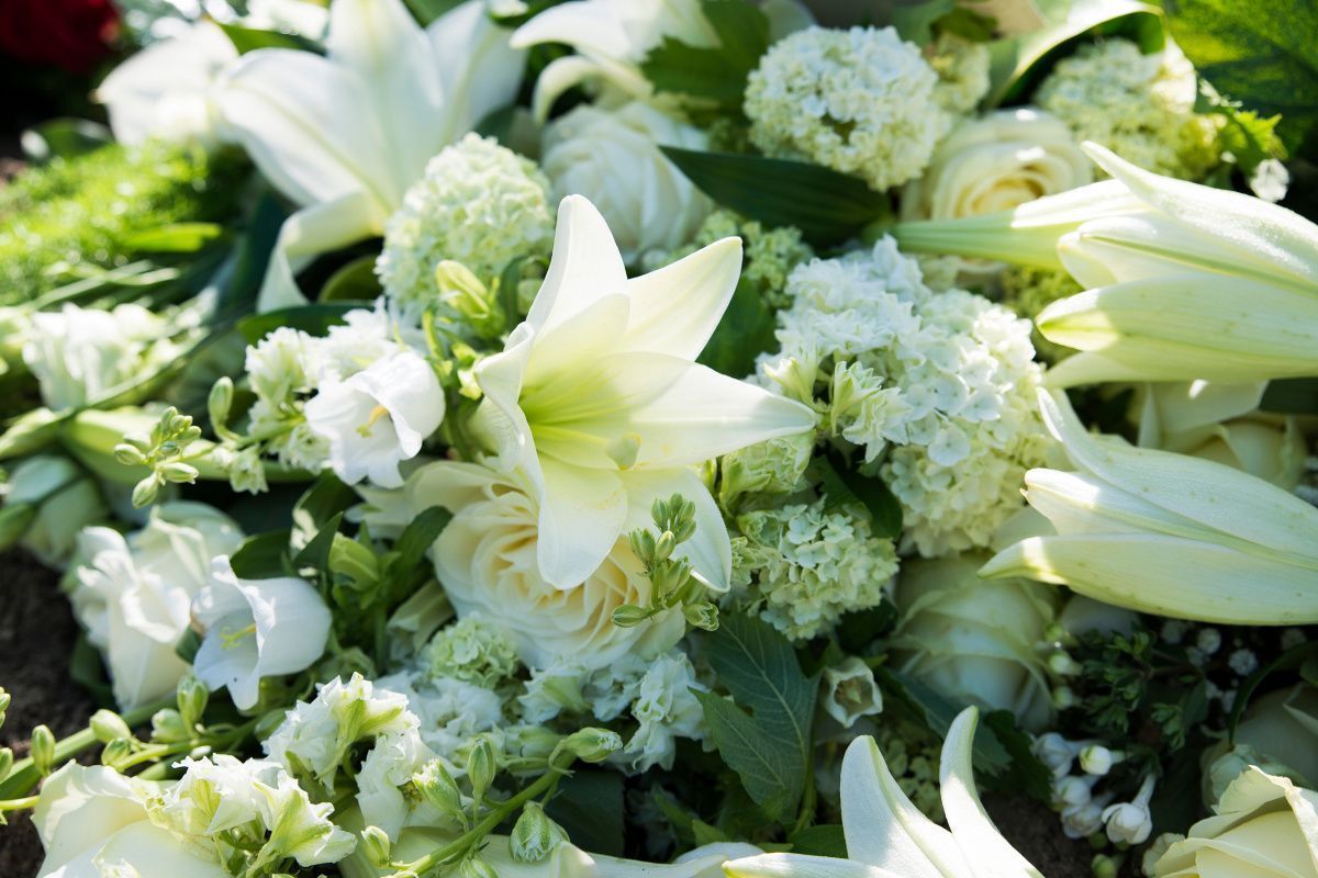 Funeral wakes Colchester